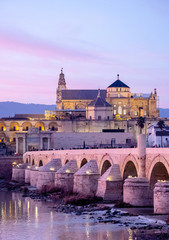 Mezquita and roman bridge of Cordoba
