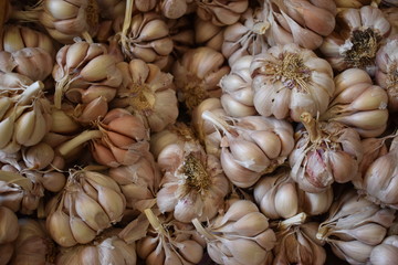 Closeup of garlic on a local market in Funchal in Madeira, Portugal