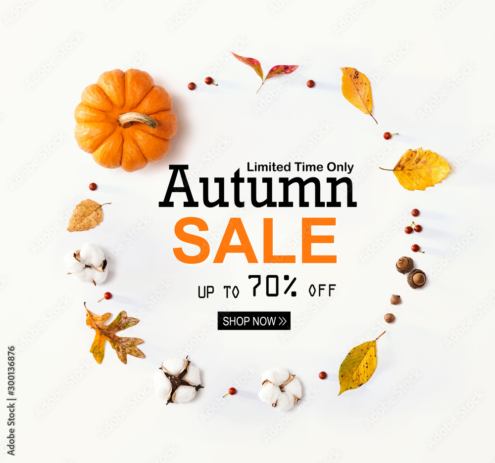 Poster Autumn sale banner with autumn leaves and an orange pumpkin