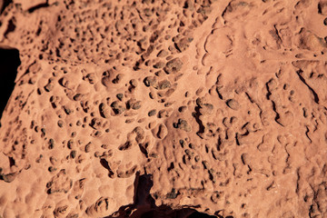 Coarse-grained sandstone laced with tafoni (holes caused by moving water) laces the surface found in Capitol Reef National Park, Utah