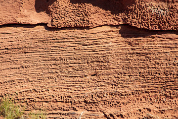 Coarse-grained sandstone laced with tafoni (holes caused by moving water) laces the surface found in Capitol Reef National Park, Utah