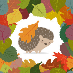 Vector image of autumn leaves and hedgehog - 300140013