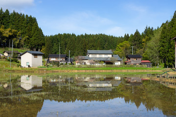 Fototapeta na wymiar 新潟の田園風景