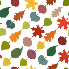 Vector seamless pattern of autumn leaves. Maple, Elm, Birch, Aspen, Poplar, Oak, Linden - 300140638