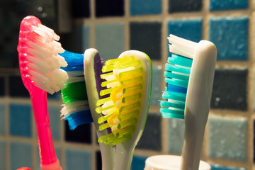 some colorful family toothbrushes