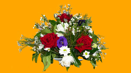 Bouquet of roses with red, white, purple on an orange background