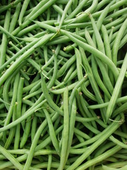 haricot