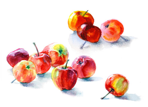 Watercolor food. Fresh fruits still-life on white background