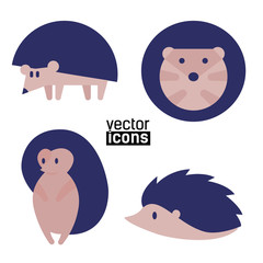 Vector icons of hedgehogs on white background - 300142636