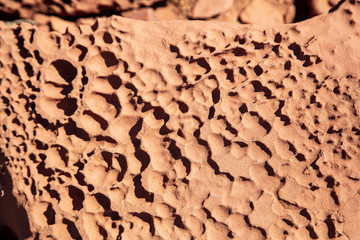 Coarse-grained sandstone laced with tafoni (holes caused by moving water) laces the surface found in Capitol Reef National Park, Utah