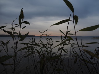 leaves sunset lake island 