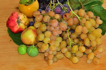 Fruit  751