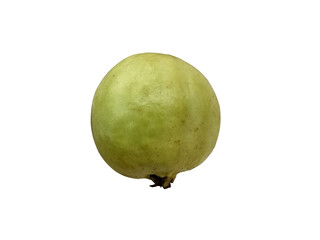 guava on white background