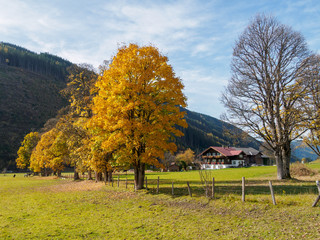 Autumn in the Alps 10