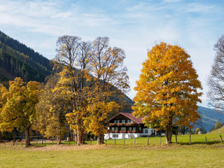 Autumn in the Alps 9