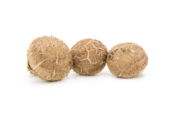 Close up of three fresh mushrooms isolated on a white background