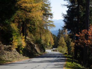Mountain road in the autumn forest