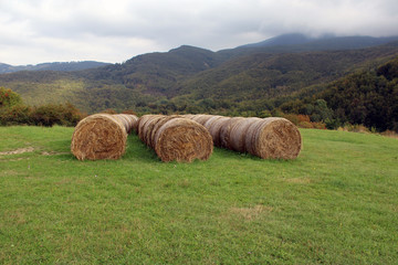 Balle di fieno sul prato di montagna