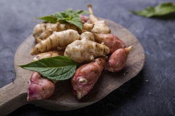 Jerusalem artichokes or topinambour, (topinambur), also known as earth apple or sunroot on a...