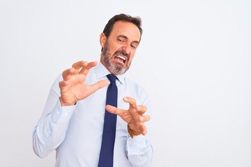 Middle age businessman wearing elegant tie standing over isolated white background disgusted...