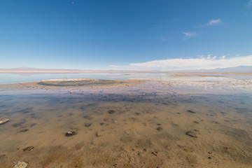 Laguna Chaxa, San Pedro de Atacama, Chile