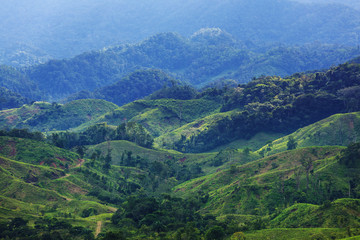 Green hills