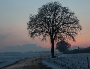 Last day of winter (hopefully)