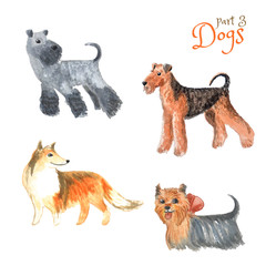 Cute dogs drawn in cartoon style. Watercolor illustration.