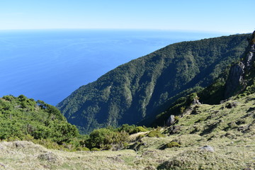 Fototapeta na wymiar Landscape with palm trees and the blue ocean in Madeira, Portugal