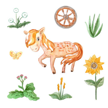 Cute horse and a set of watercolor wildflowers and a cart wheel. Isolated on white.