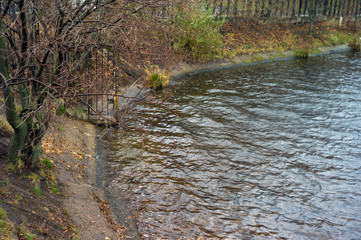 Autumn on a river
