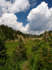 Fototapeta premium Along the Trail Ridge Road in the Rocky Mountain National Park