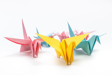 Origami birds flock on white background. Leadership concept