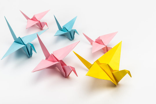 Origami birds flock and Yellow leader on white background. Leadership concept