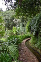 Hiking trail at Levada do Rei in Madeira, Portugal