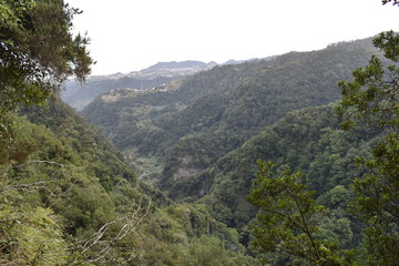 Fototapeta na wymiar Hiking trail at Levada do Rei in Madeira, Portugal