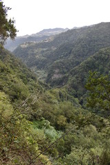 Fototapeta na wymiar Hiking trail at Levada do Rei in Madeira, Portugal