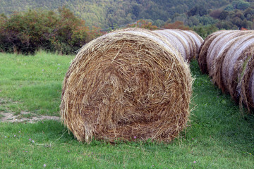 Balla rotonda di fieno