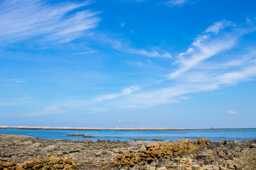 Fototapeta na wymiar Blue sky with oysters at the sea