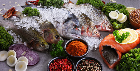 Different sorts of fish on kitchen table