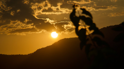 Sunset in the autumn evening
