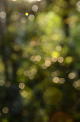 Obraz premium background