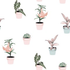 Fototapeta premium Different green plants in pots seamles pattern for inside and outside. White background. 