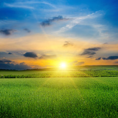 Green field, sunrise and blue sky.