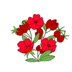 The bush of the dog-rose. Hand drawn vector illustration of the dog-rose and berries.