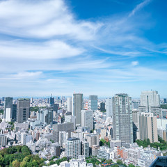 Obraz premium 東京風景