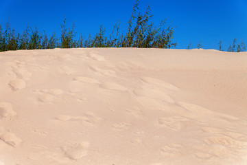 Yellow beach sand and green plants.