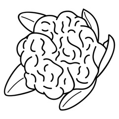 Cauliflower