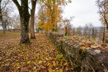 Oberes Donautal im Herbst
