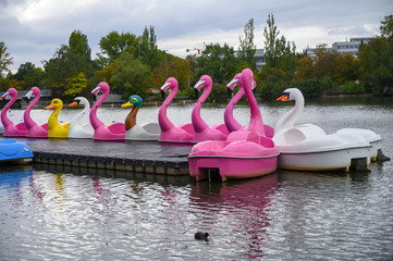 pink flamingos, ducks and swans  shape water paddle boats in the lake © superpapero